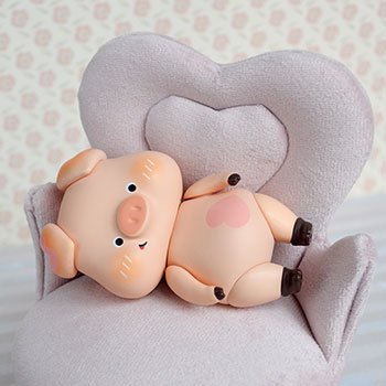 Нежный порось. Приезд.