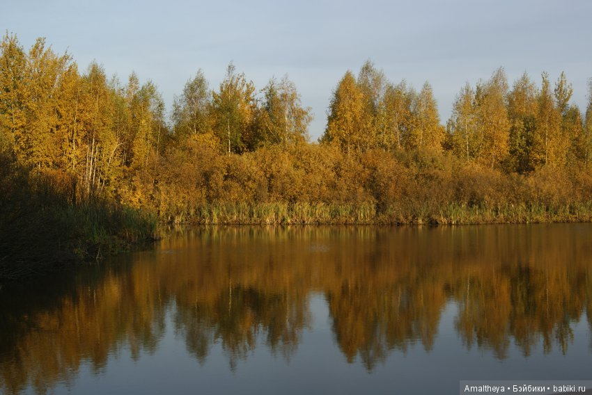 Осенняя Страна Чудес — Куклы Pullip (Пуллип) (фото 4)