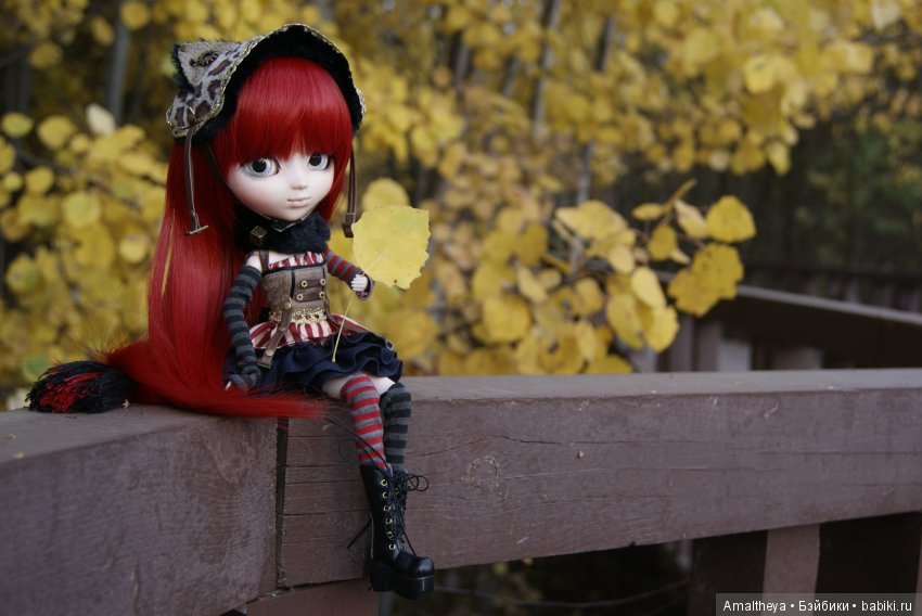 Осенняя Страна Чудес — Куклы Pullip (Пуллип) (фото 7)