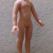 Меняю тело Паола Рейна  2015- 2017  года на шарнирное