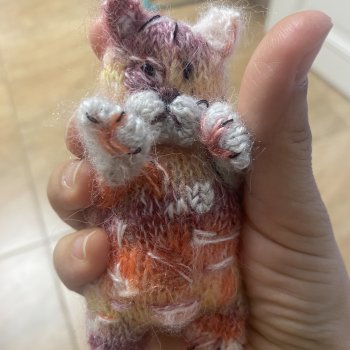 Котик)