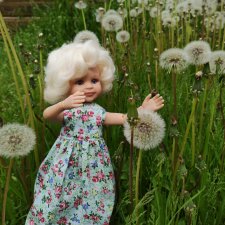 Мерлин-одуванчик