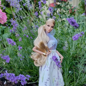 Обновки для ИТ