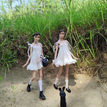 Прогулка двух Ви