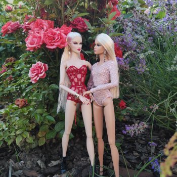 Королева и принцесса роз