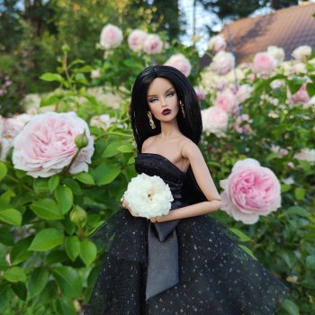 Чёрный лебедь