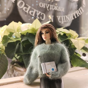 Кукловстреча интегрити тойс