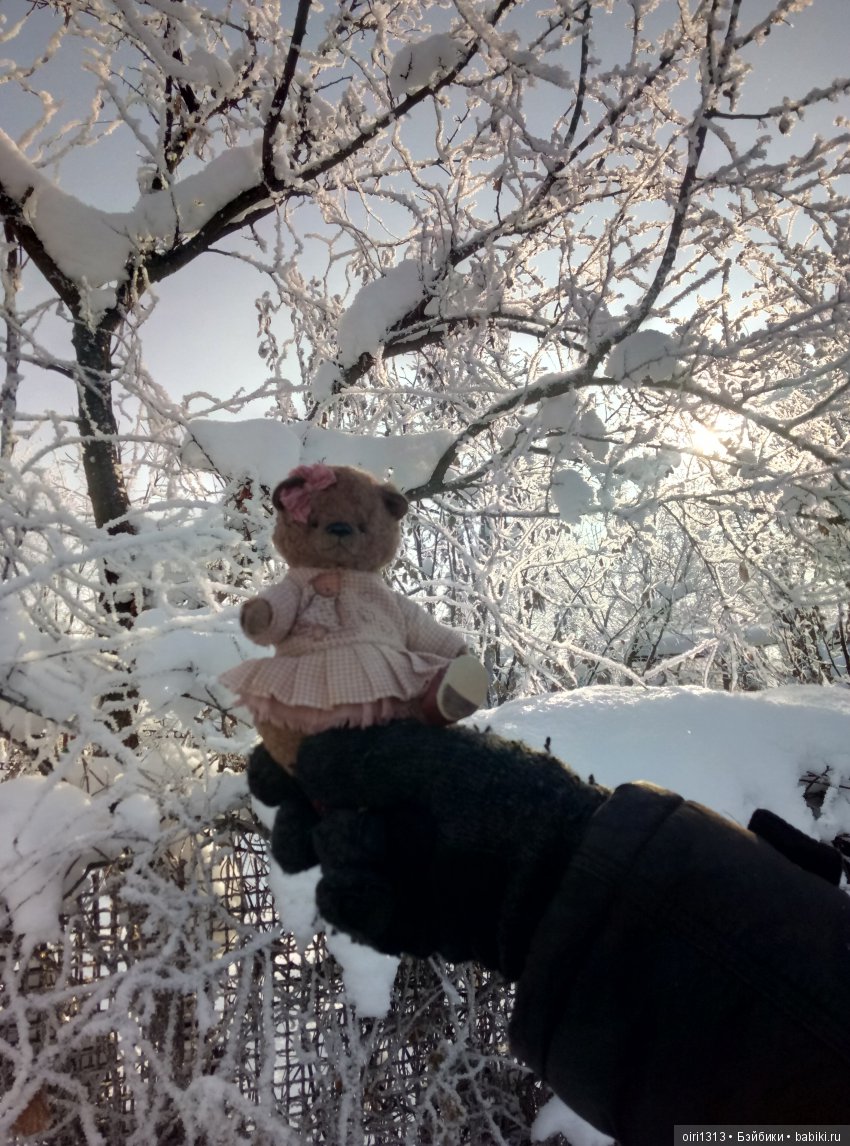 Новенькая медвежулька и ее зимняя прогулка (фото 3)