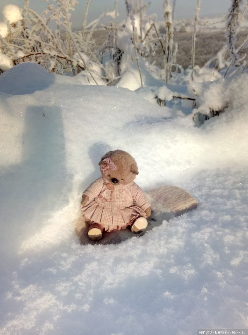 Новенькая медвежулька и ее зимняя прогулка (фото 6)