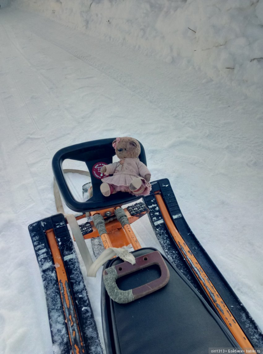 Новенькая медвежулька и ее зимняя прогулка (фото 9)