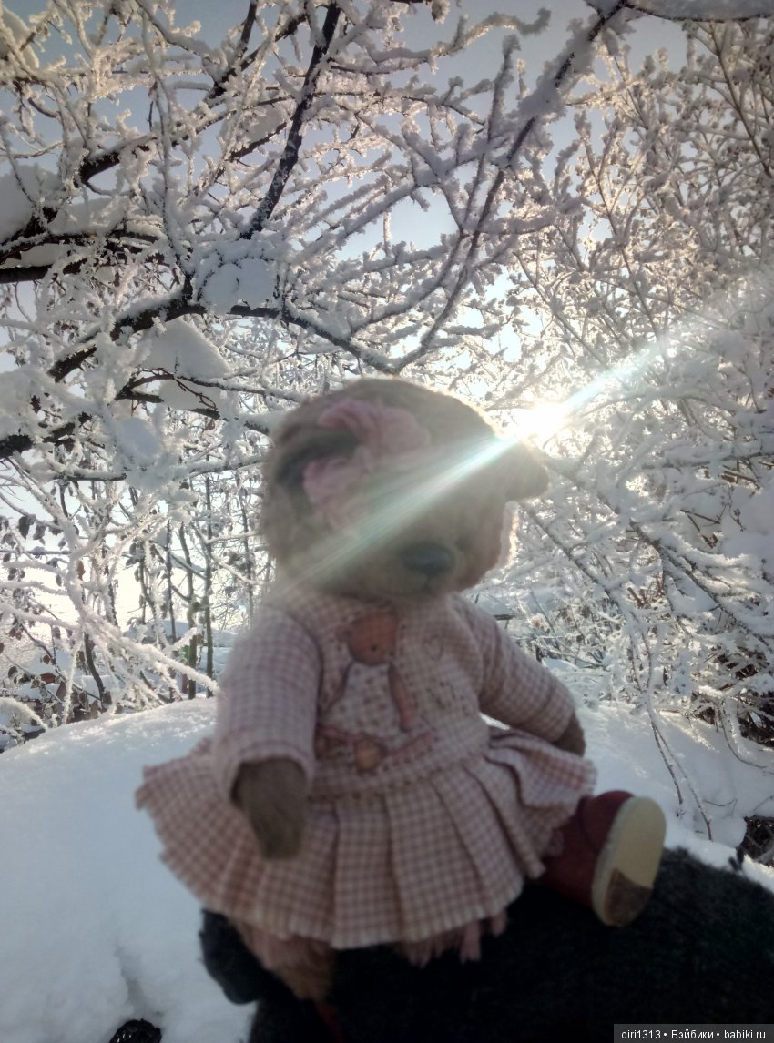 Новенькая медвежулька и ее зимняя прогулка (фото 4)