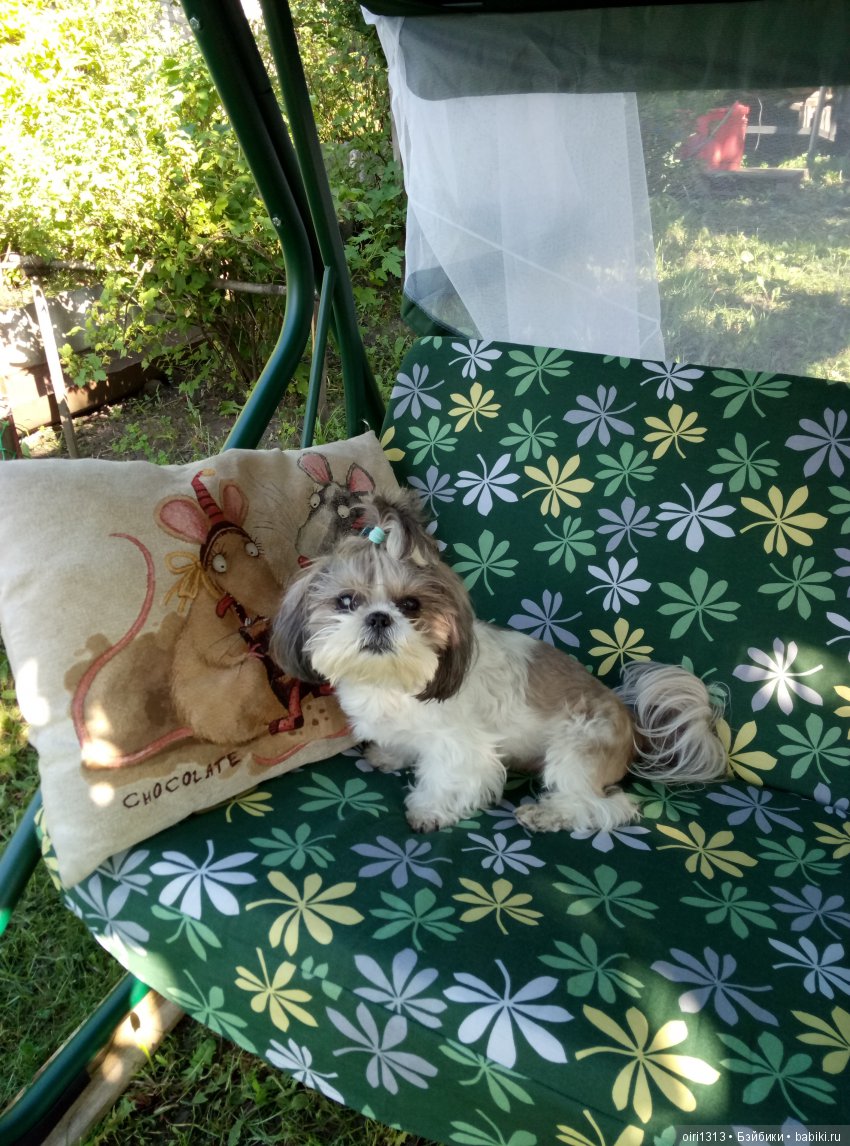 Ой, а кто это к нам приехал? И снова Цвергназе