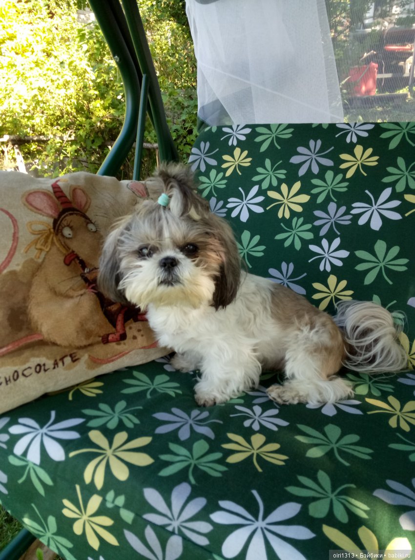 Ой, а кто это к нам приехал? И снова Цвергназе