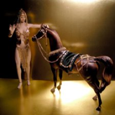 Восточная сбруя арабского коня