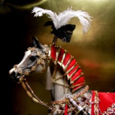 Новый конь султана