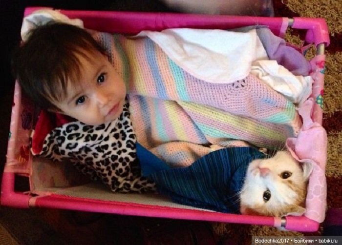 Самая искренняя и чистая любовь в мире (фото 3)