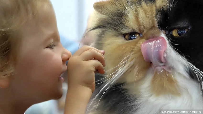 Самая искренняя и чистая любовь в мире