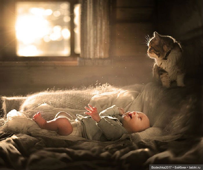 Самая искренняя и чистая любовь в мире (фото 4)