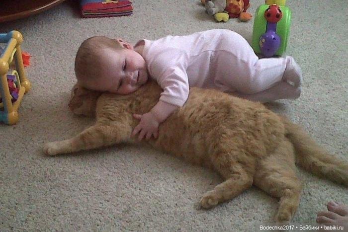 Самая искренняя и чистая любовь в мире