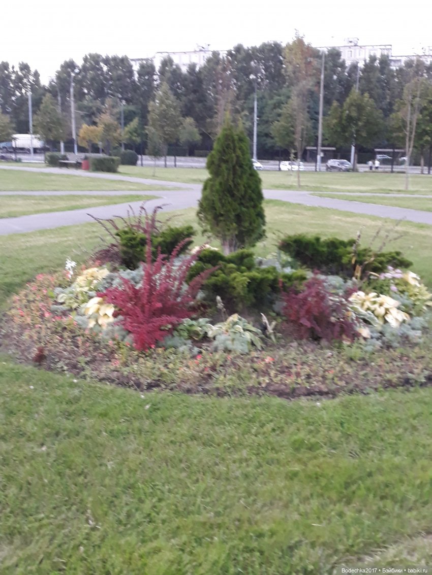 С Днем города! Мой уголок Москвы. Битцевский парк (фото 7)