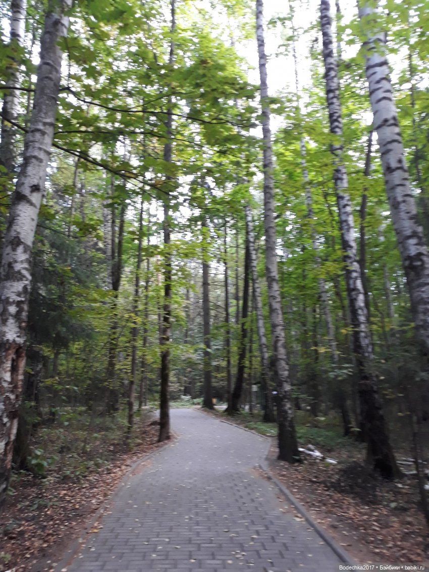 С Днем города! Мой уголок Москвы. Битцевский парк