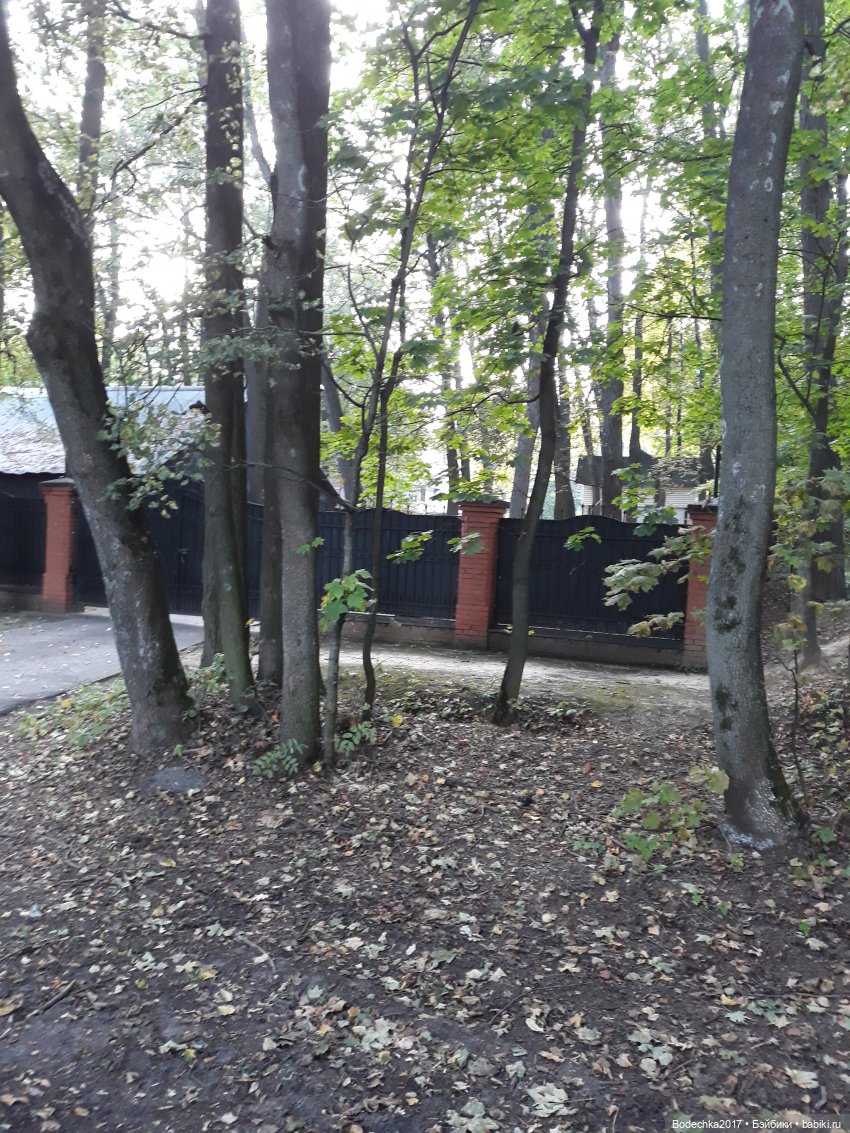 С Днем города! Мой уголок Москвы. Битцевский парк