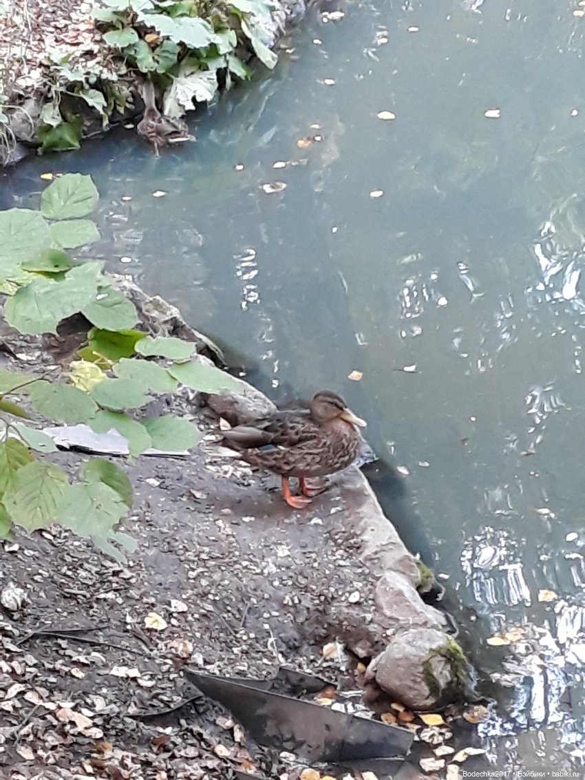 С Днем города! Мой уголок Москвы. Битцевский парк