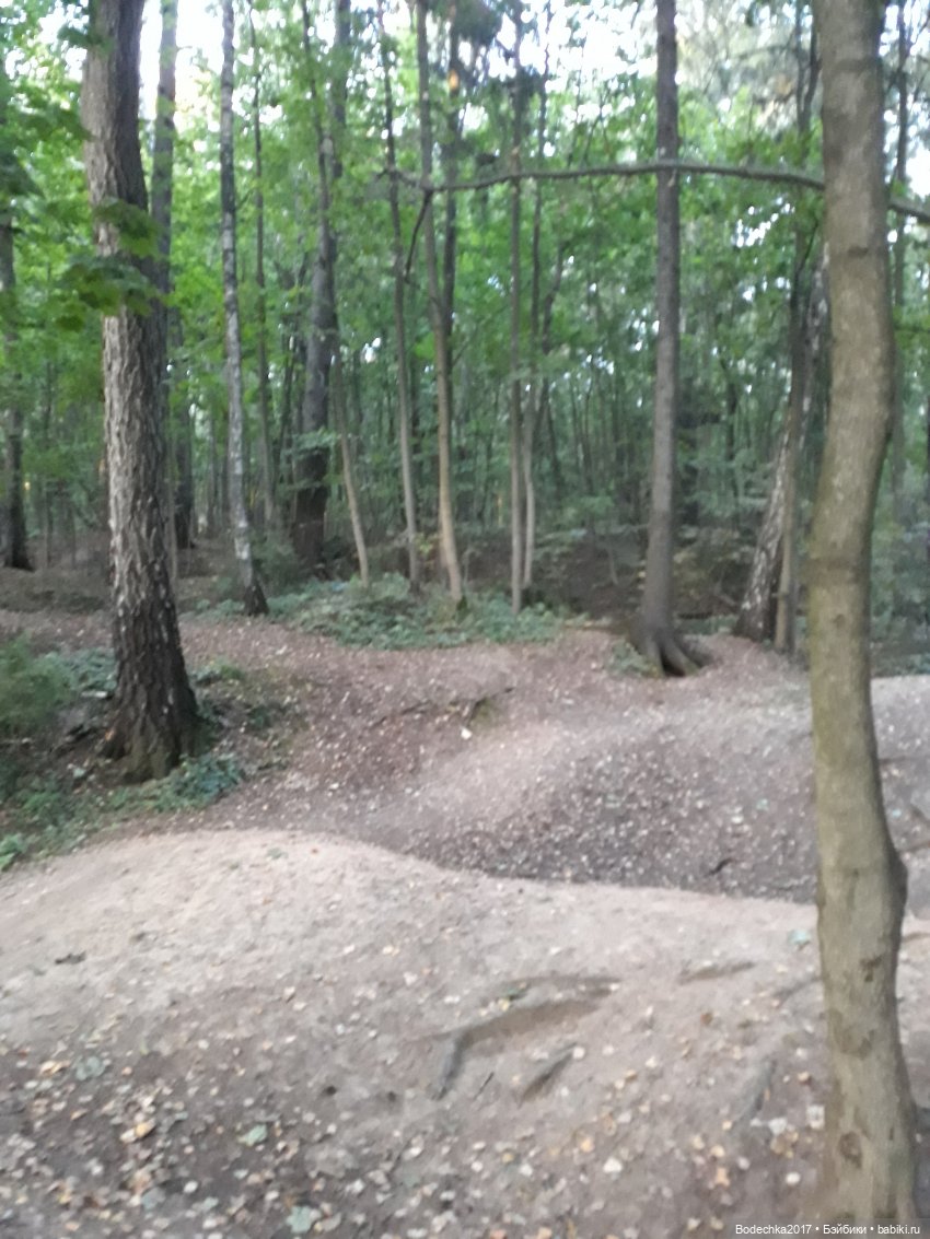 С Днем города! Мой уголок Москвы. Битцевский парк