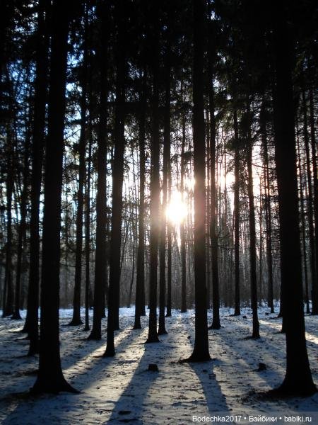 С Днем города! Мой уголок Москвы. Битцевский парк (фото 4)