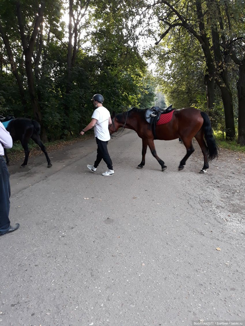 С Днем города! Мой уголок Москвы. Битцевский парк