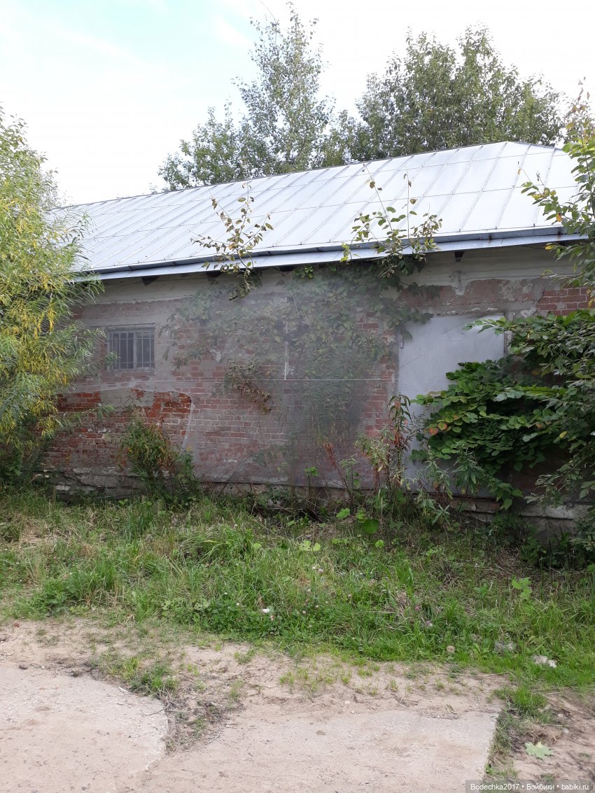 С Днем города! Мой уголок Москвы. Битцевский парк