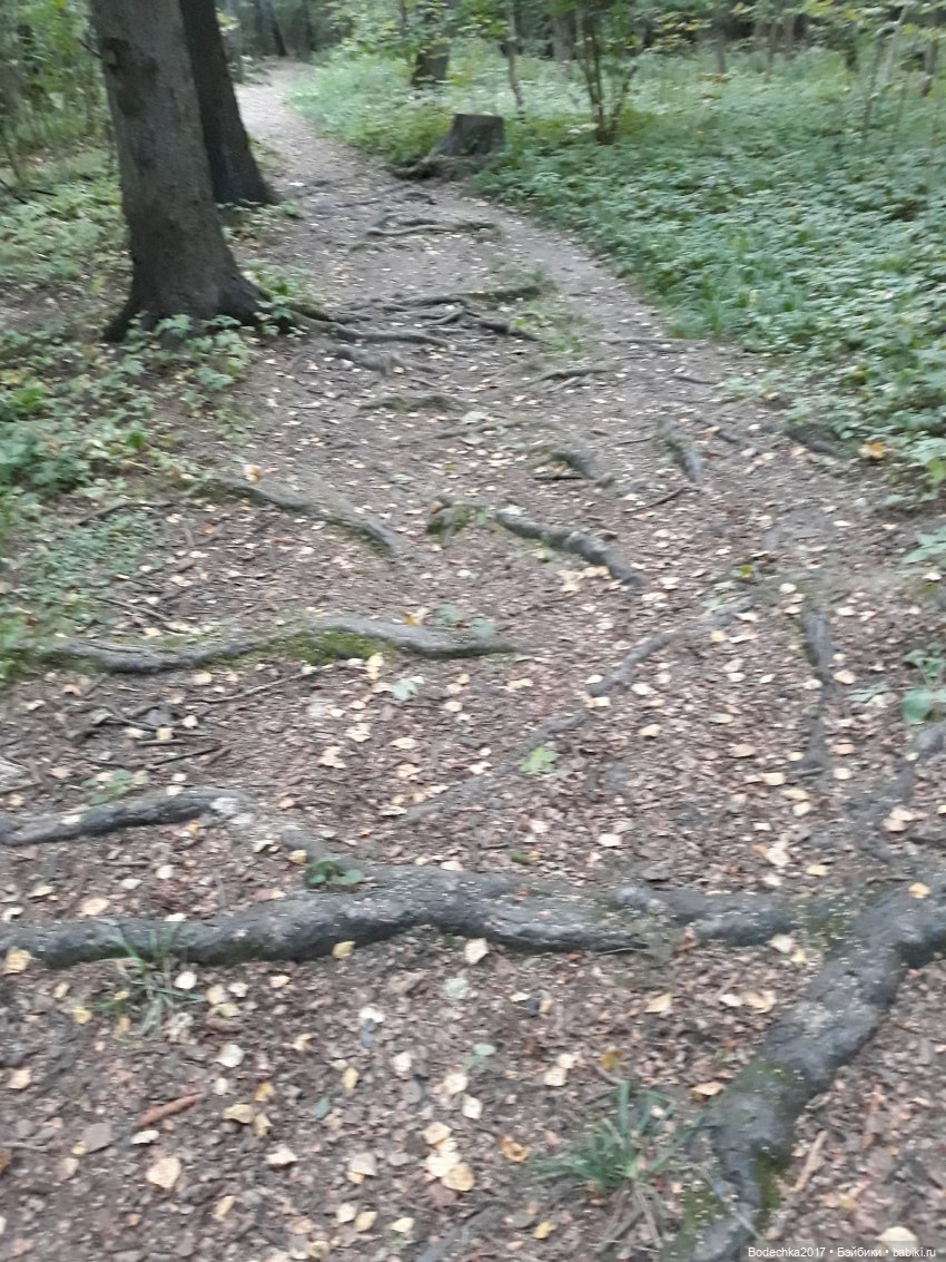 С Днем города! Мой уголок Москвы. Битцевский парк