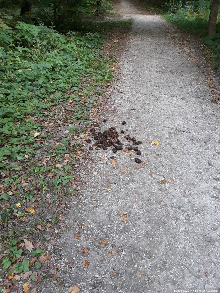 С Днем города! Мой уголок Москвы. Битцевский парк