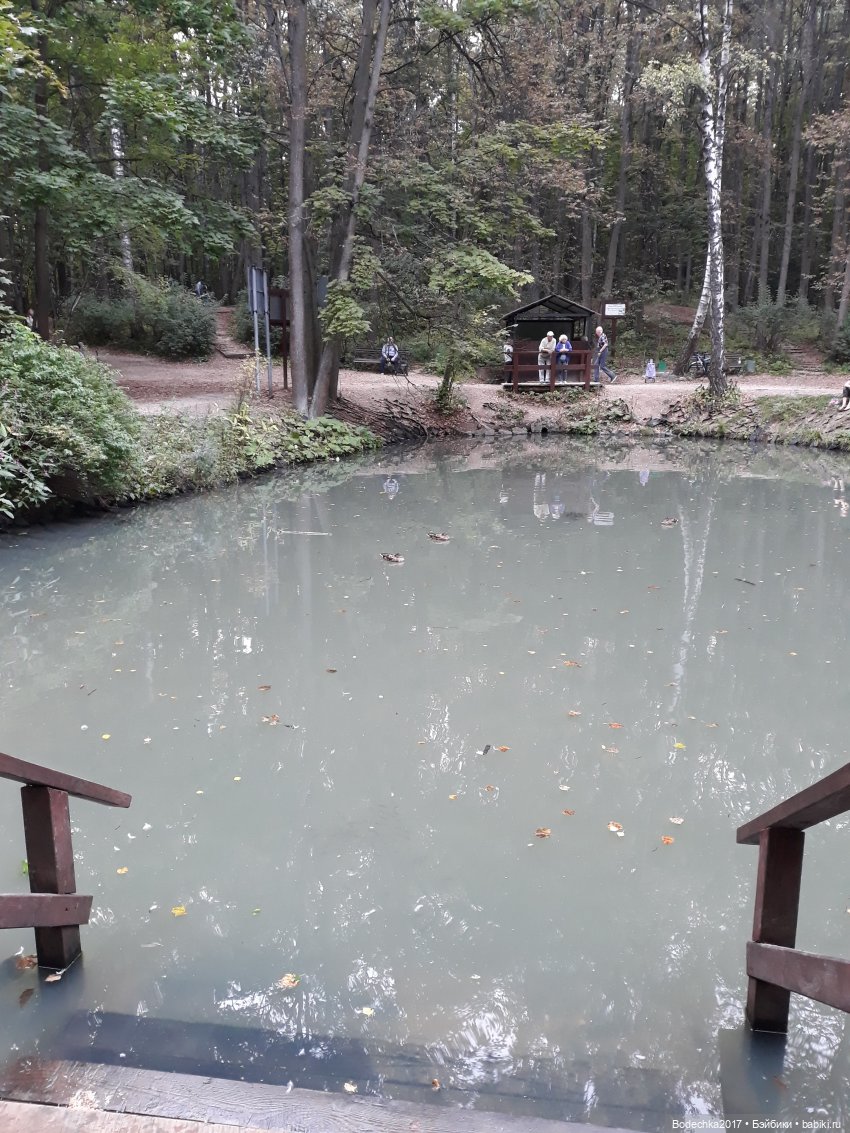 С Днем города! Мой уголок Москвы. Битцевский парк