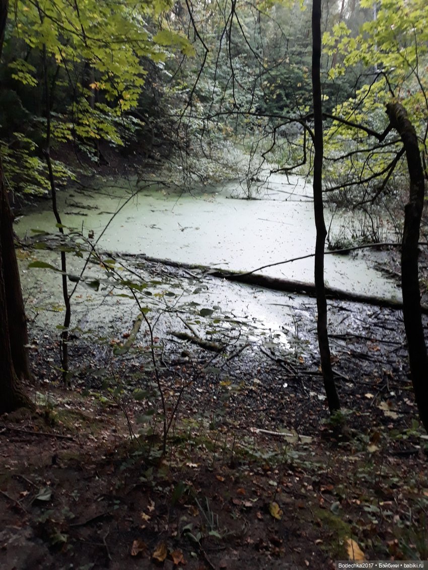 С Днем города! Мой уголок Москвы. Битцевский парк