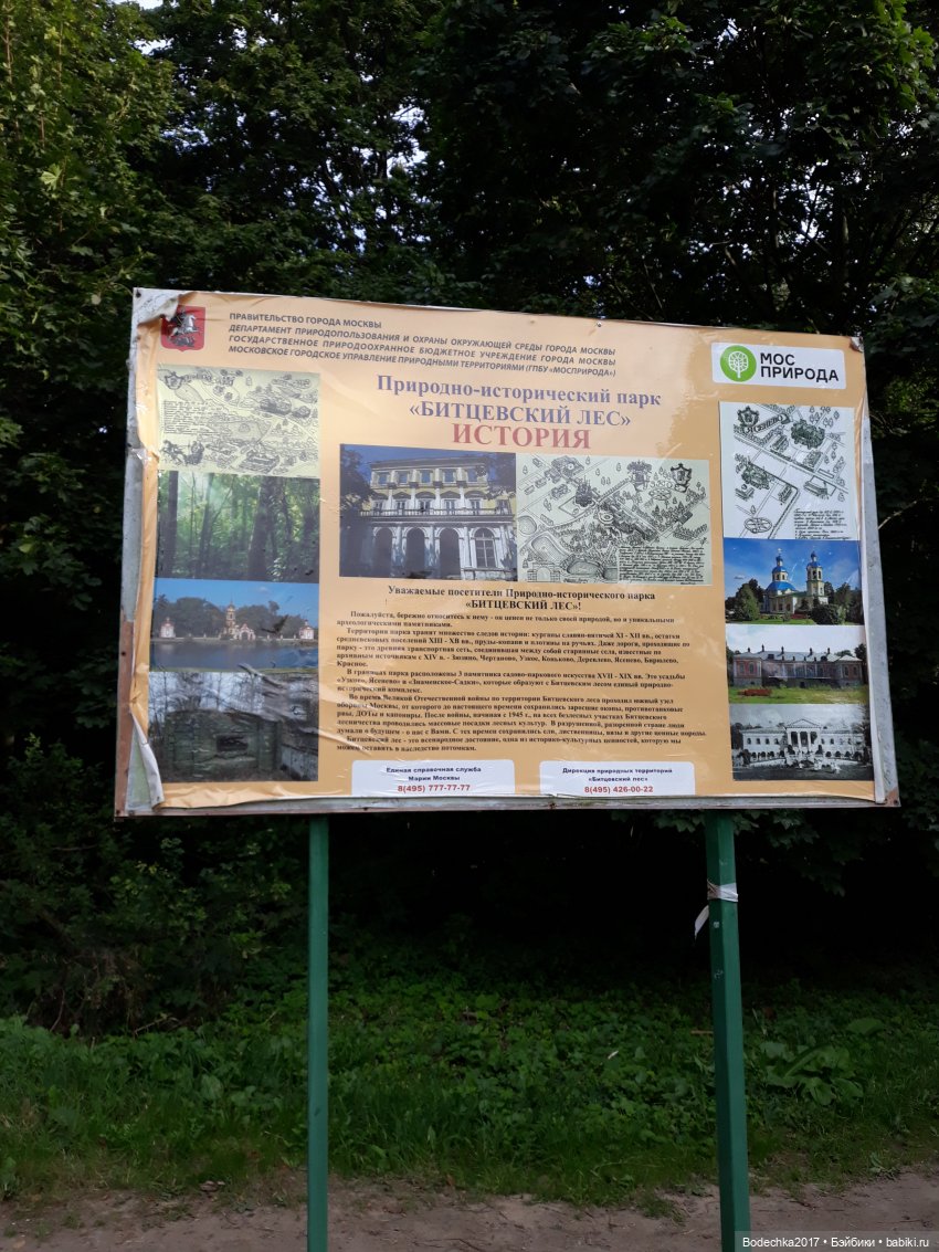 С Днем города! Мой уголок Москвы. Битцевский парк