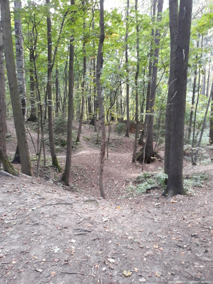 С Днем города! Мой уголок Москвы. Битцевский парк