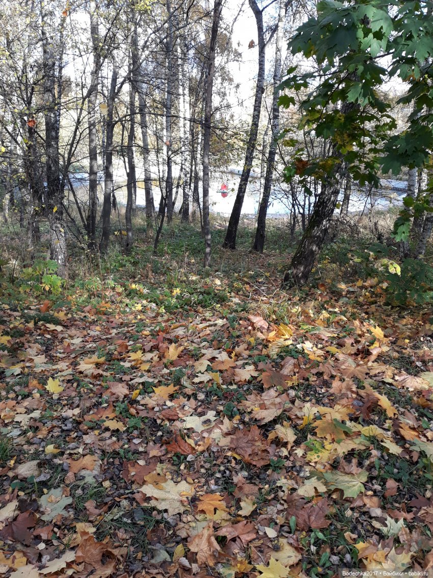Осенняя прогулка по моей Москве