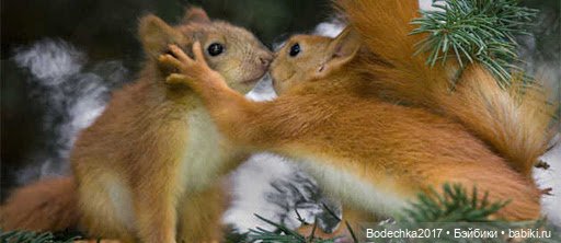 Обнимашки перед сном — Болталка и разговоры обо всем: жизнь