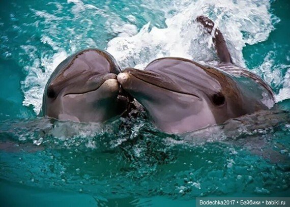 Обнимашки перед сном — Болталка и разговоры обо всем: жизнь