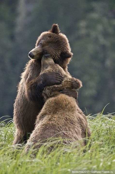 Обнимашки перед сном — Болталка и разговоры обо всем: жизнь
