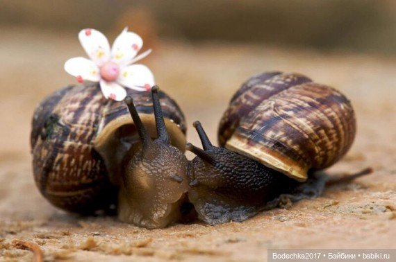 Обнимашки перед сном — Болталка и разговоры обо всем: жизнь