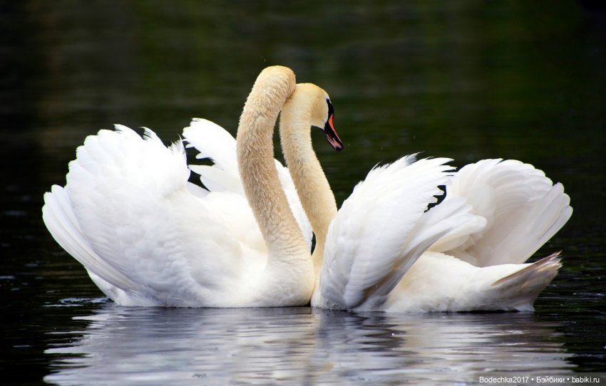 Обнимашки перед сном — Болталка и разговоры обо всем: жизнь