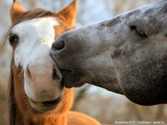 Обнимашки перед сном — Болталка и разговоры обо всем: жизнь