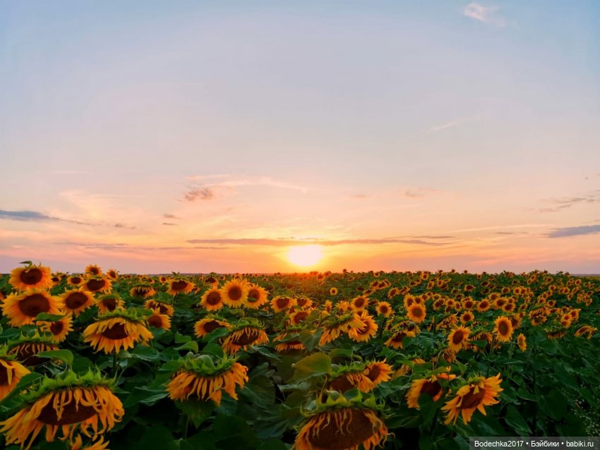 Вспоминая лето — Болталка и разговоры обо всем: жизнь