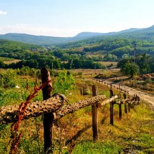 Вспоминая лето