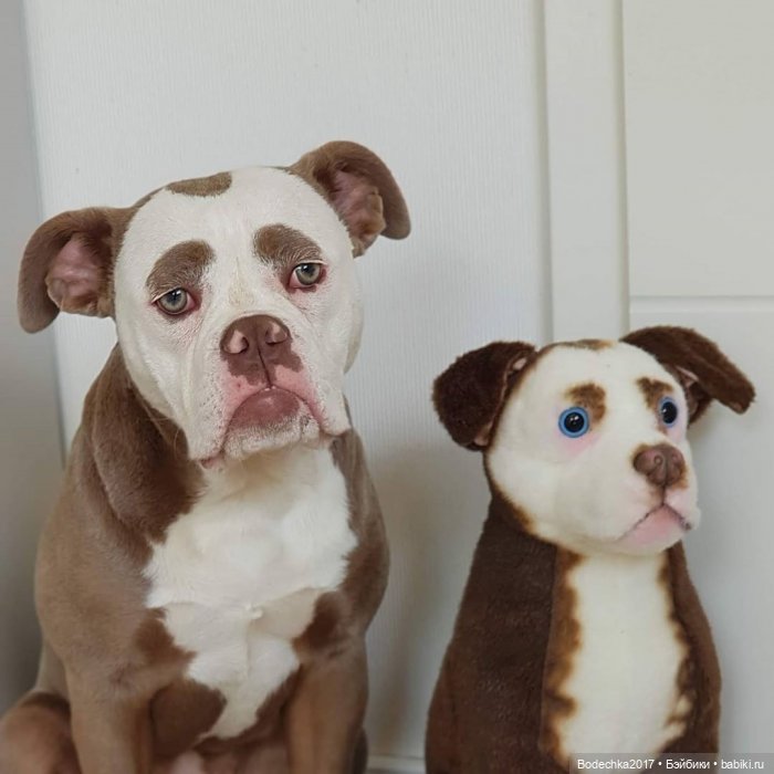 Собака бывает кусачей только (фото 5)