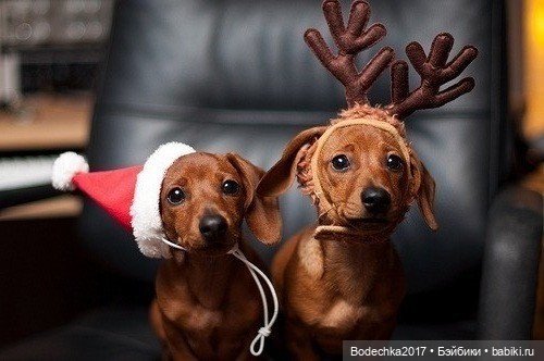 Рождество пришло на планету