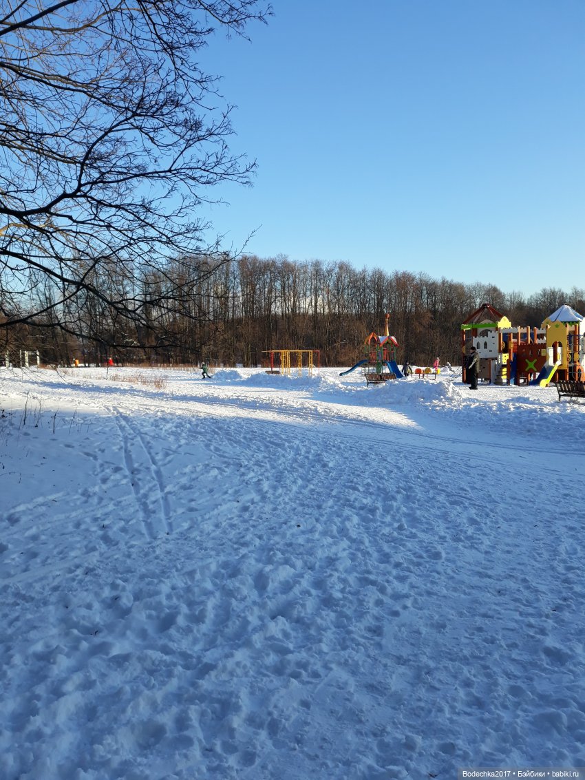 Последние денечки уходящего года (фото 5)