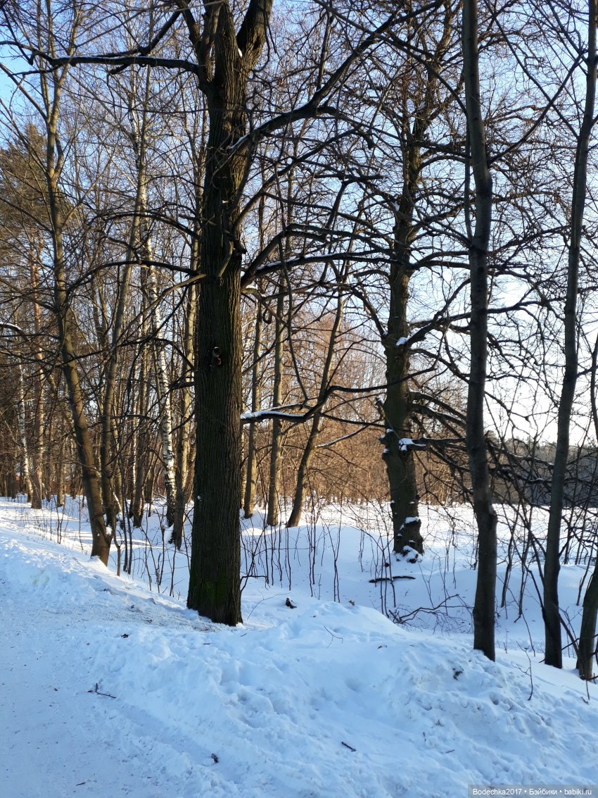 Последние денечки уходящего года (фото 6)